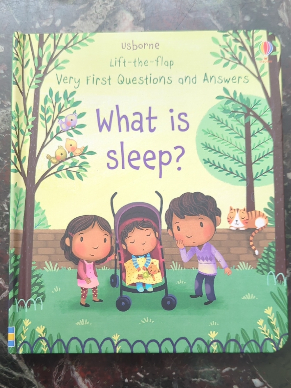 Usborne What Is Sleep? Lift-the-Flap Book - Green